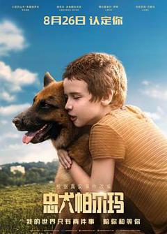 忠犬帕尔玛国语