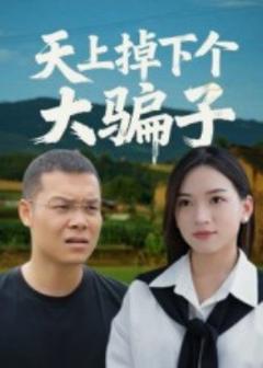 《天上掉下个大骗子》