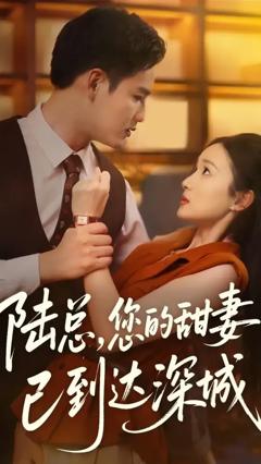陆总您的甜妻已到达深城