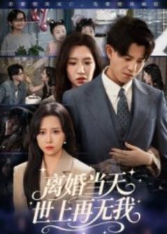 离婚当天世上再无我