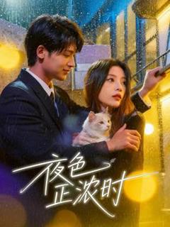 《夜色正浓时》