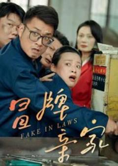 《冒牌亲家》