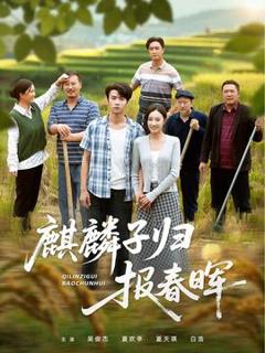 麒麟子归报春晖