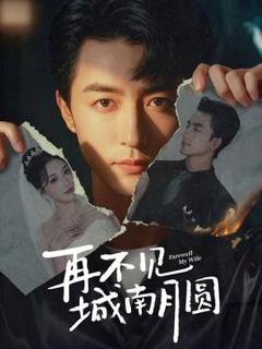《再不见城南月圆》