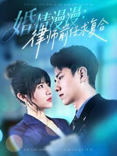 《婚情漫漫：律师前任求复合》