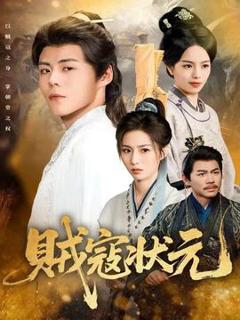 《贼寇状元》
