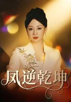 《凤逆乾坤》