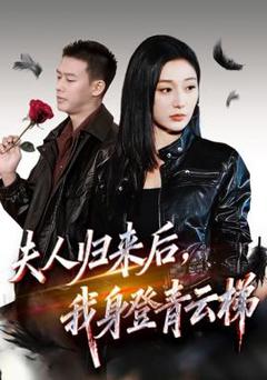 《夫人归来后我身登青云梯》