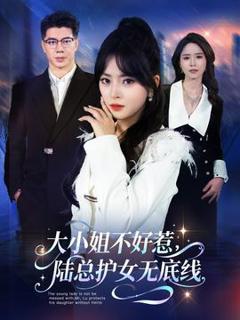 《大小姐不好惹陆总护女无底线》
