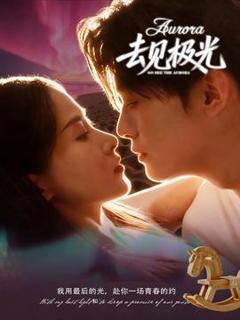 《去见极光》