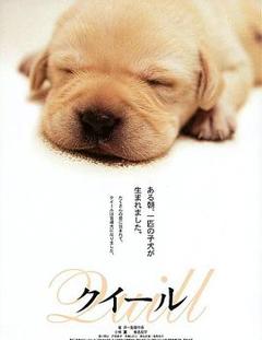 导盲犬小Q【影视解说】