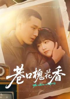 《巷口槐花香》