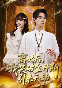 《离婚后，我突破金丹期，引来天劫》