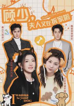 《顾少，夫人又在拆家啦》