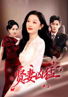 《贤妻凶猛》