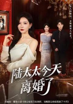 陆太太今天离婚了