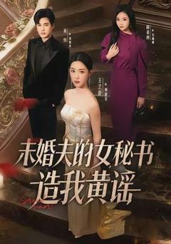 未婚夫的女秘书造我黄谣