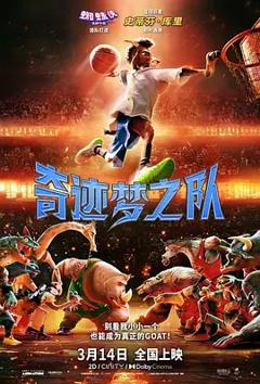奇迹梦之队
