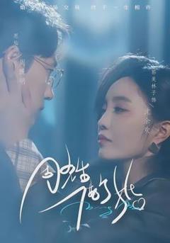 《周先生，借个婚》