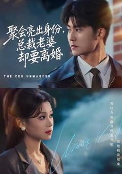 《聚会亮出身份，总裁老婆却要离婚》