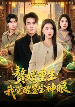 《赘婿重生，我觉醒鉴宝神眼》