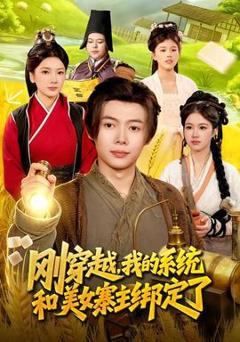 《刚穿越，我的系统和美女寨主绑定了》