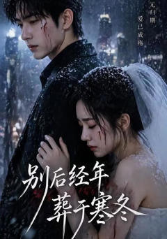 《别后经年，葬于寒冬》