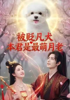 被贬凡犬，本君是最萌月老