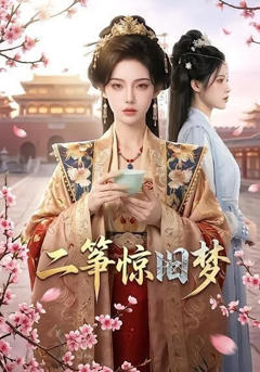 二筝惊旧梦