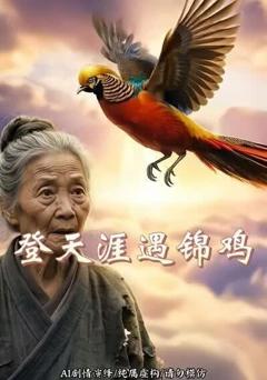 《登天涯遇锦鸡》