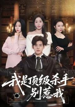 《我是顶级杀手，别惹我》