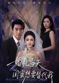 《婚礼当天，闺蜜想要替代我》