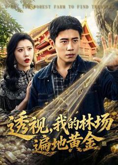 《透视，我的林场遍地黄金》