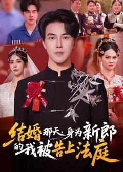 《结婚那天，身为新郎的我被告上法庭》