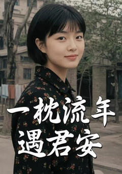 一枕流年遇君安