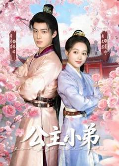 《公主小弟》
