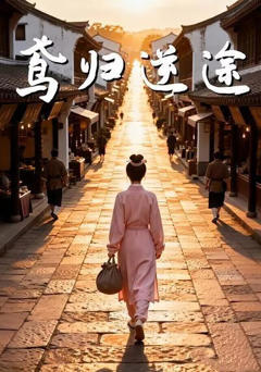 《鸢归逆途》