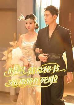 《时停！霍总秘书又在撒娇作死啦》