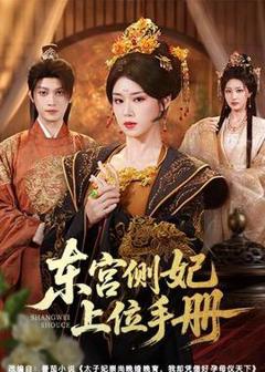《东宫侧妃上位手册》