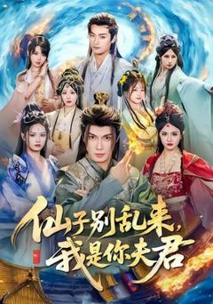 《仙子别乱来，我是你夫君》