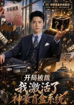 开局被裁，我激活了神豪盲盒系统