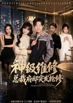 《神级维修，总裁府邸突发抢修》