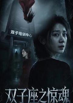 《双子座之惊魂》