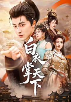 《白衣掌天下》