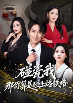 《碰瓷我那你算是碰上烙铁咯》