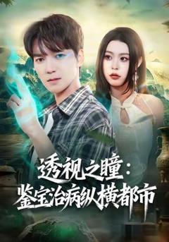 《透视之瞳：鉴宝治病纵横都市》