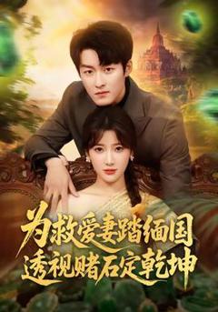 《为救爱妻踏缅国透视赌石定乾坤》