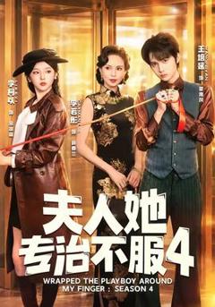 《夫人她专治不服4》