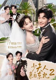 《少夫人来自东北2》