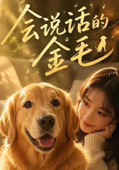 《会说话的金毛》